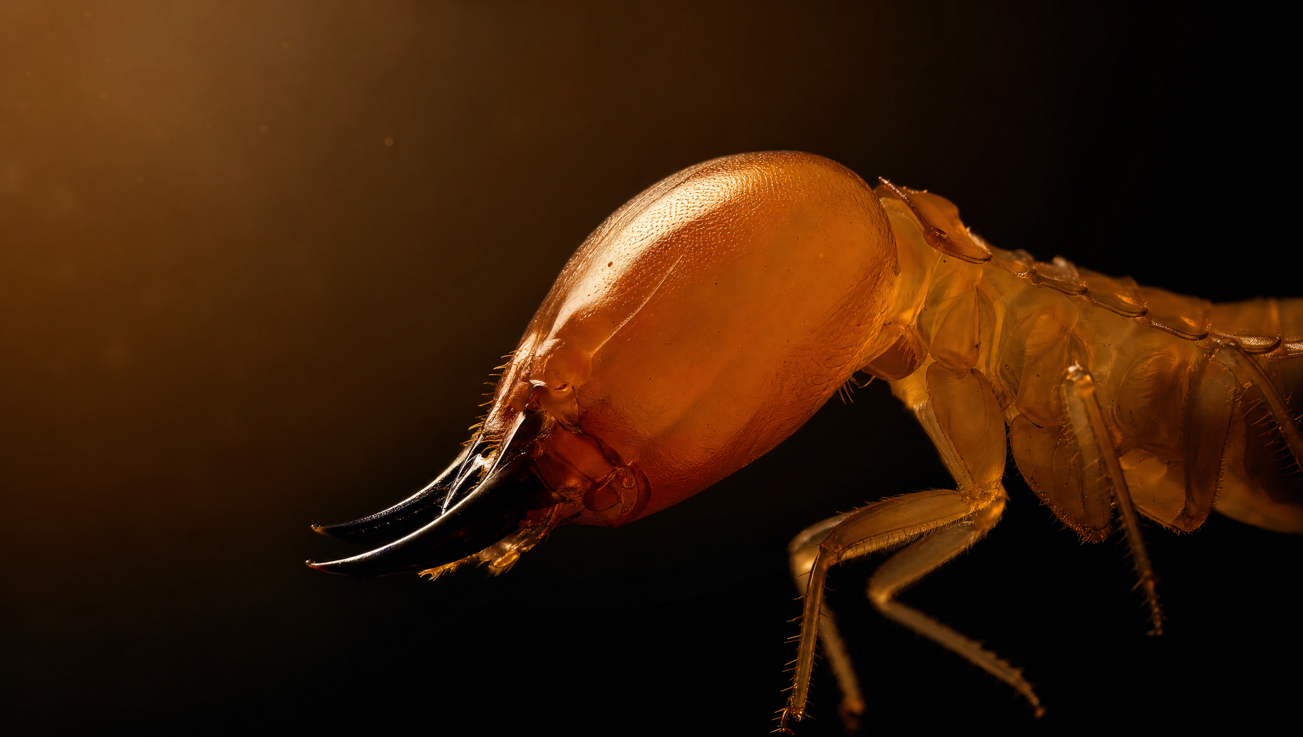 Hyperreal macro photograph of a Formosan termite soldier, showing detailed mandibles and chitinous body